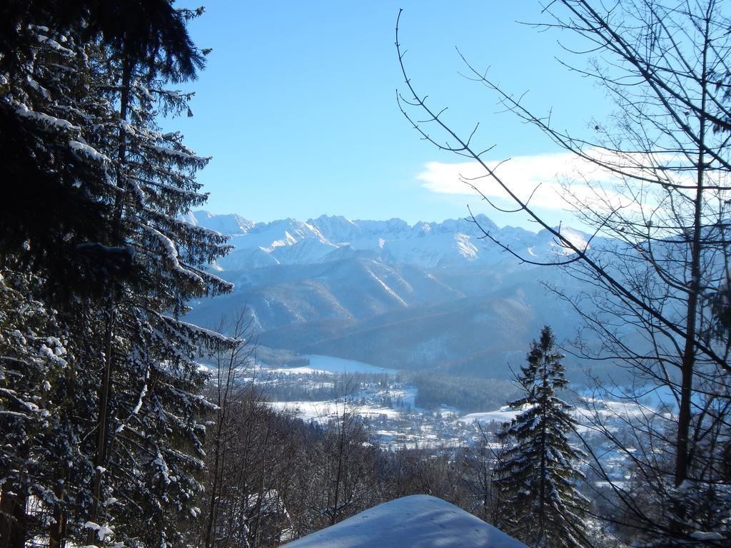 Chata Stacha Villa Zakopane Bagian luar foto