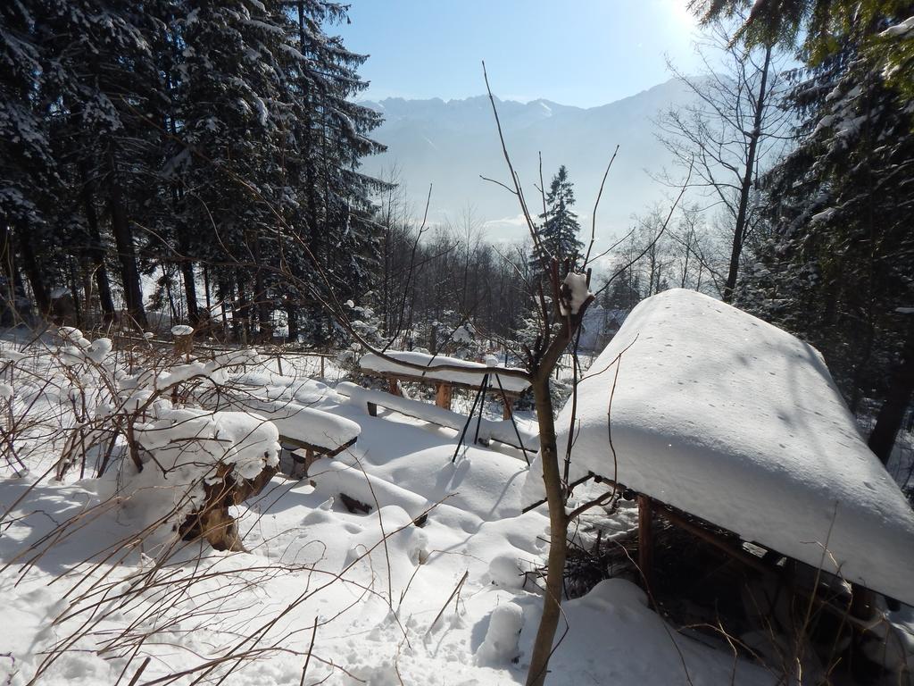 Chata Stacha Villa Zakopane Bagian luar foto