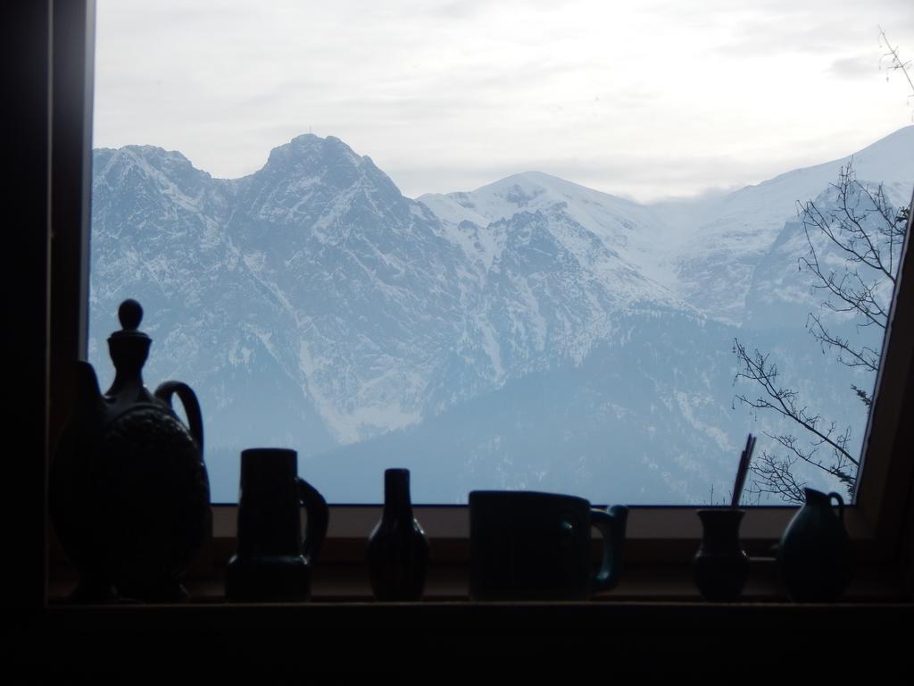 Chata Stacha Villa Zakopane Bagian luar foto
